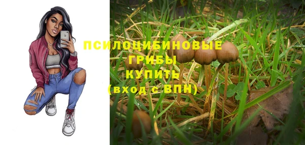 кокаин Алексеевка